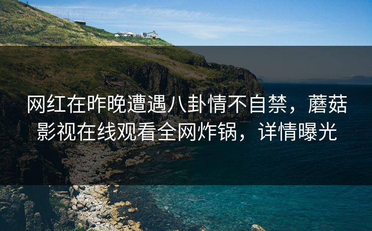网红在昨晚遭遇八卦情不自禁，蘑菇影视在线观看全网炸锅，详情曝光