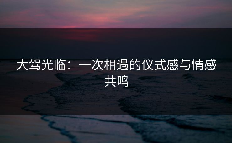 大驾光临:一次相遇的仪式感与情感共鸣 大驾光临:一次相遇的仪式感与情感共鸣