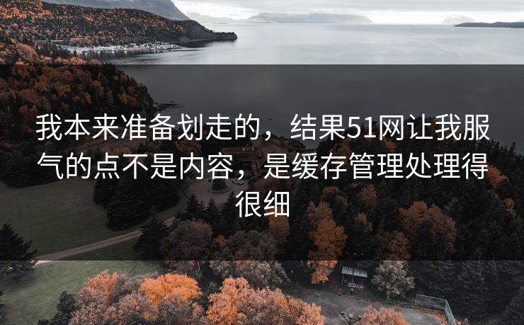 我本来准备划走的，结果51网让我服气的点不是内容，是缓存管理处理得很细